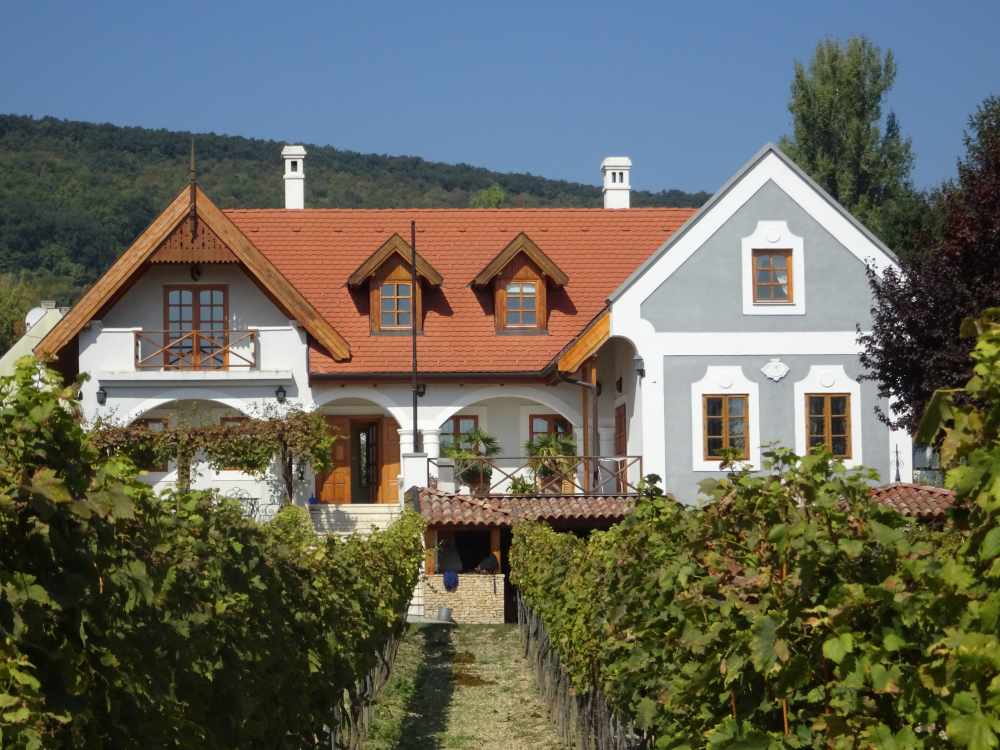 Kert részlet, díszcserjék